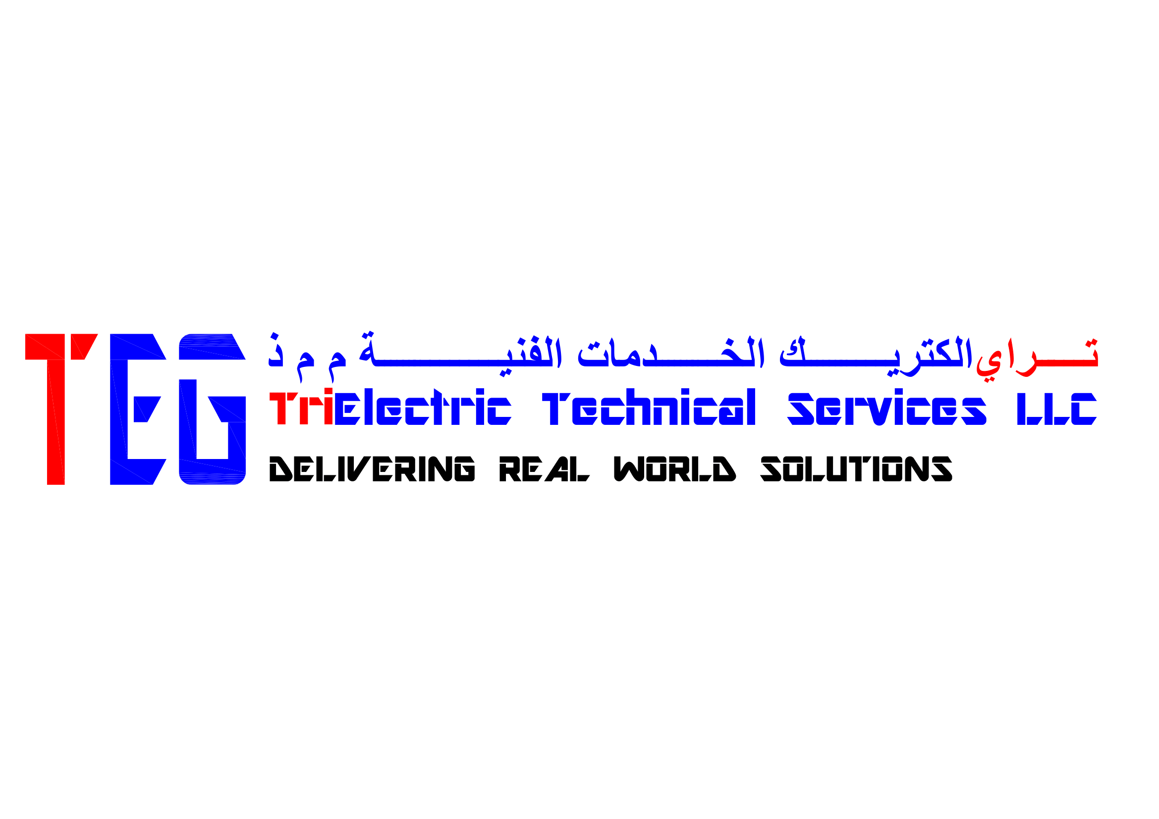 tri electric group